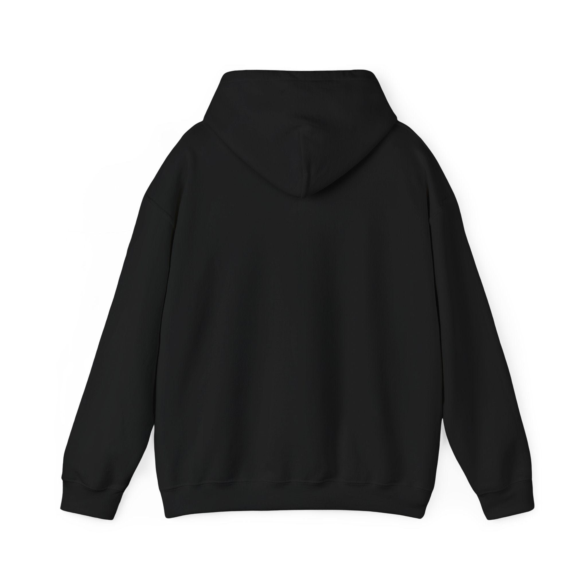 WAYFINDER CLASSIC: HOODIE