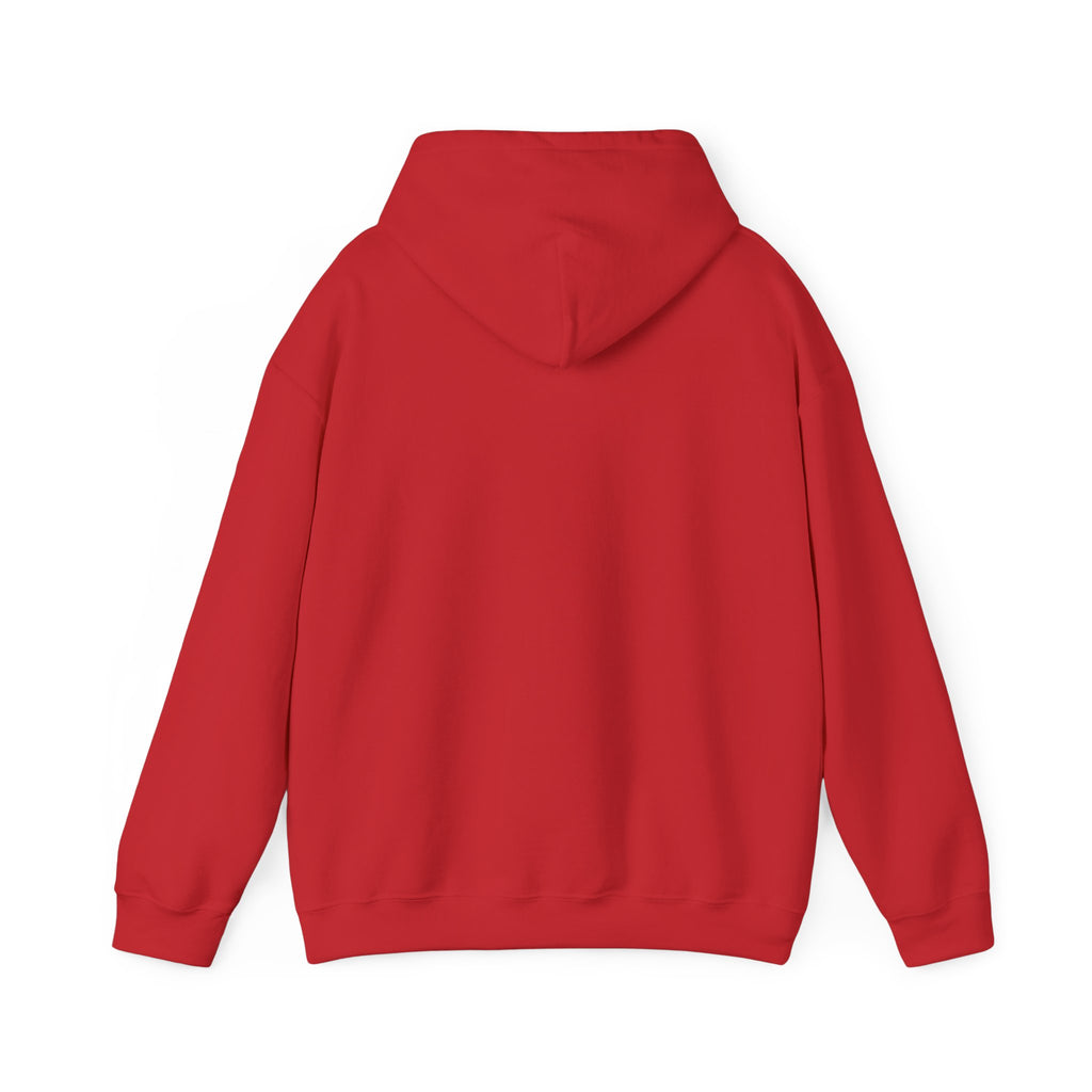 WAYFINDER CLASSIC: HOODIE