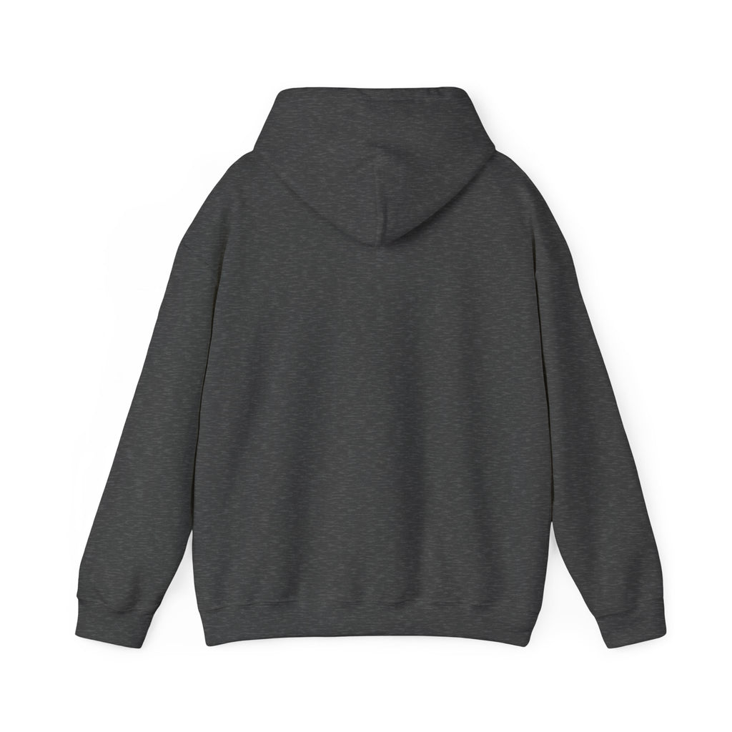 WAYFINDER CLASSIC: HOODIE