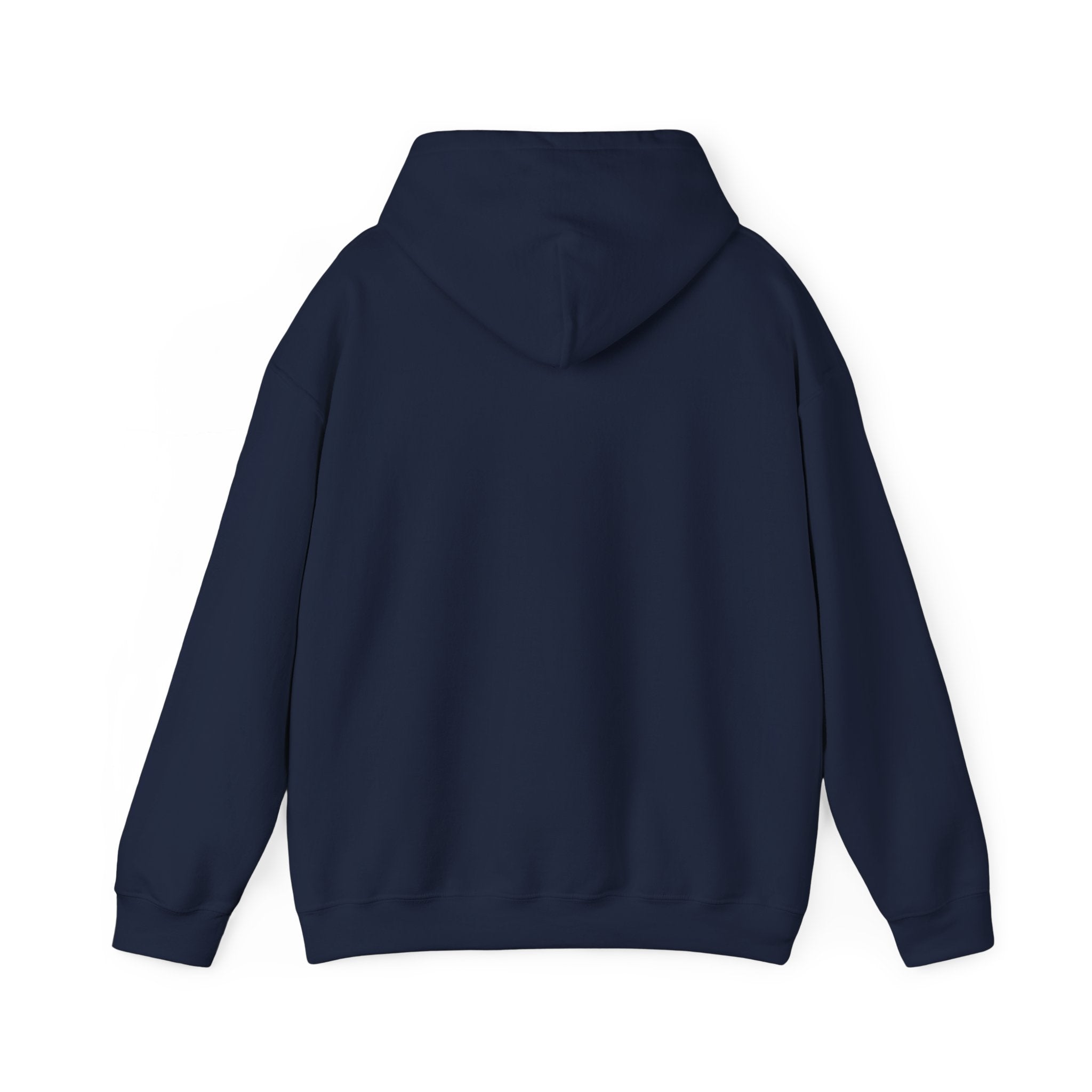 WAYFINDER CLASSIC: HOODIE